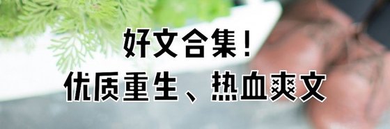 好文合集！优质重生、热血爽文